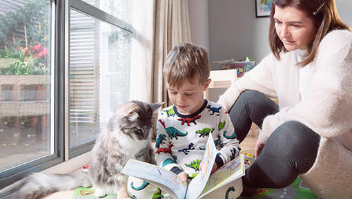 Poiss koos kassiga, kes loeb raamatut
